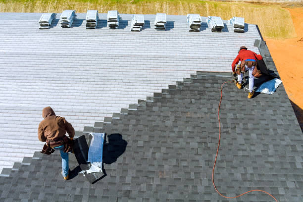 Best Roofing Contractor Near Me  in Blackshear, GA