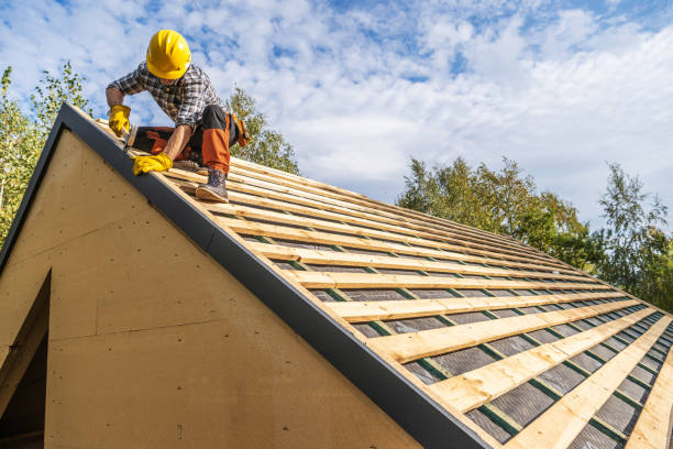 Quick and Trustworthy Emergency Roof Repair Services in Blackshear, GA